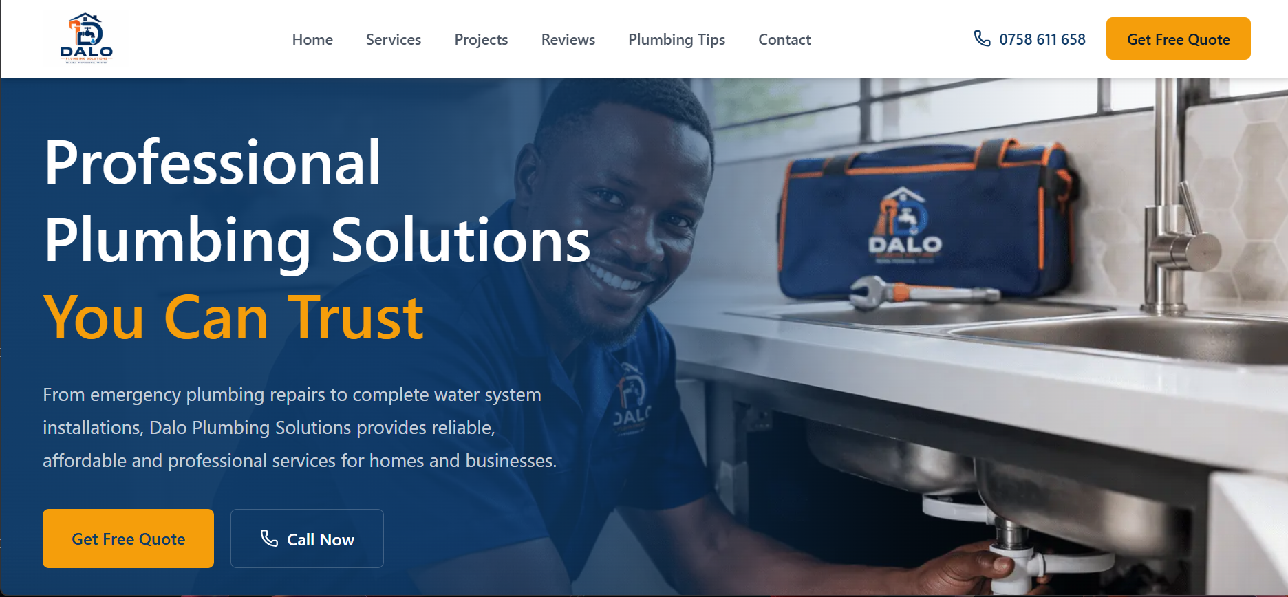 Dalo Plumbing Solutions website